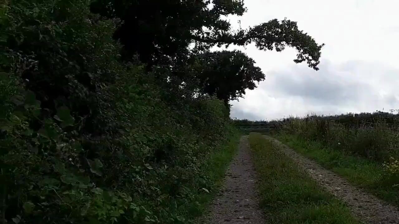 Nua na estrada e na pista de fazenda vê online foto