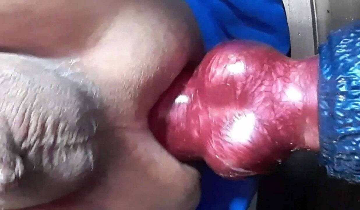 Sissy ass geting fuck by my wolf knot watch online