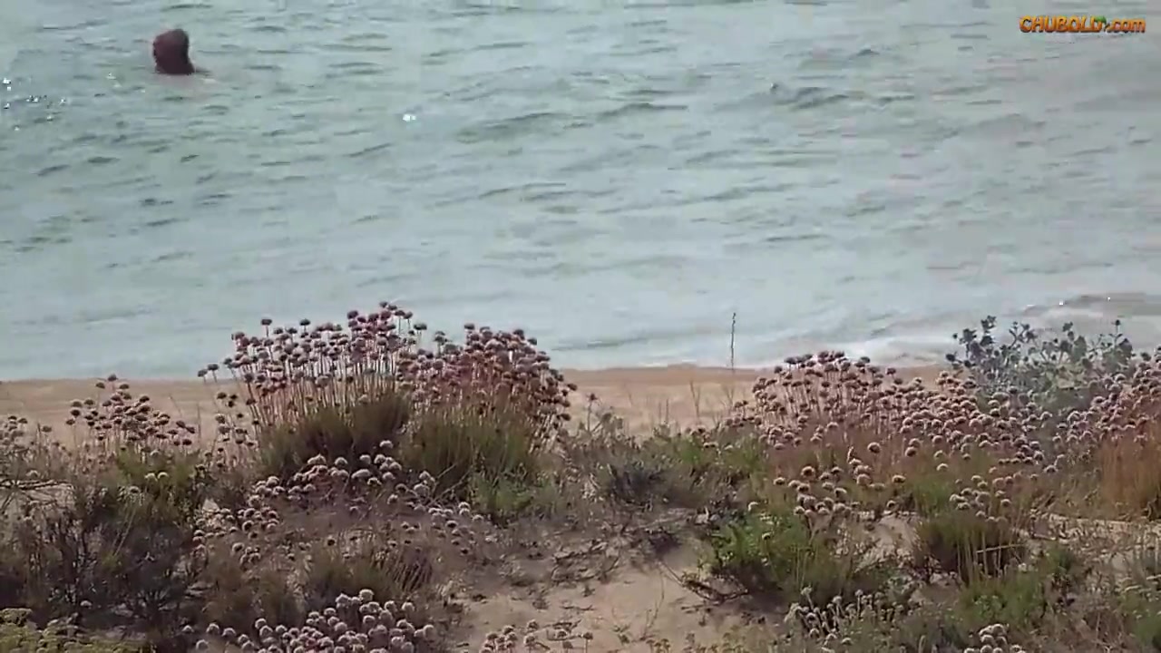 Se rencontrer à la plage regarder en ligne image