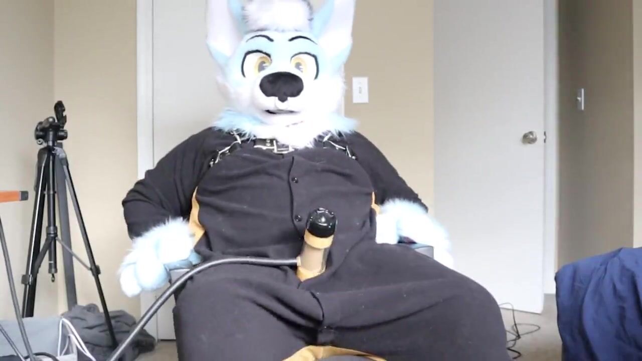 Fursuit Cock Milking with the Venus Milking Machine