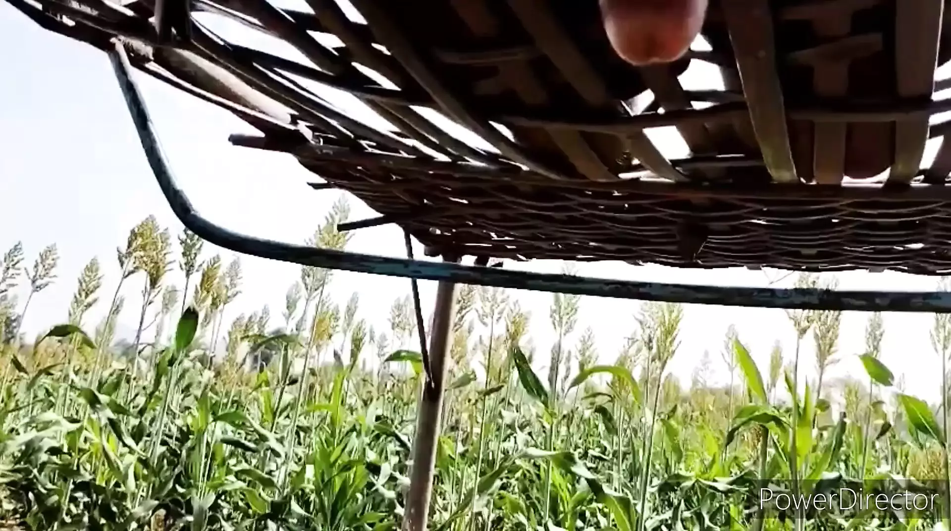 Pueblo polla de 9 pulgadas follar cuna disfrutando en la selva ver en linea